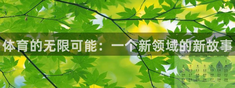 vsport体育官网下载注册：体育的无限可能：一个新