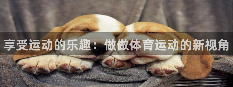 vsport体育官方正版app集团官网网址：享受运动