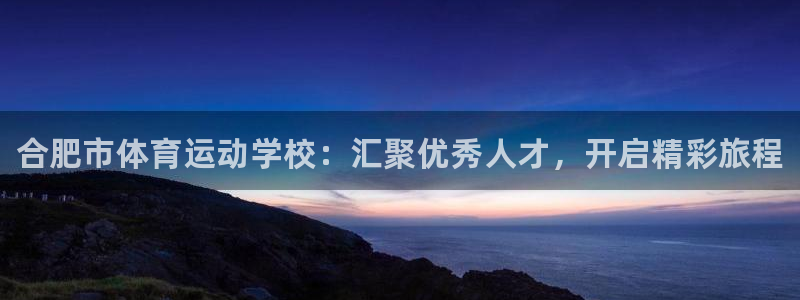vsport体育官网下载开户：合肥市体育运动学校：汇