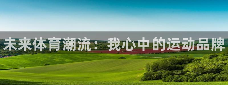 德国vsport体育官方正版app集团：未来体育潮流