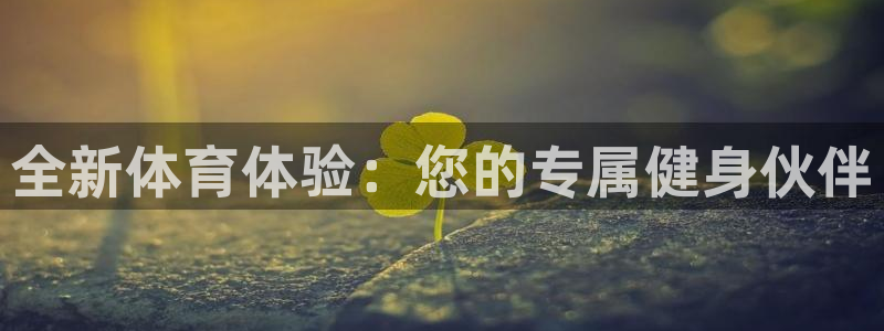 vsport体育官方正版app神州：全新体育体验：您的专属健