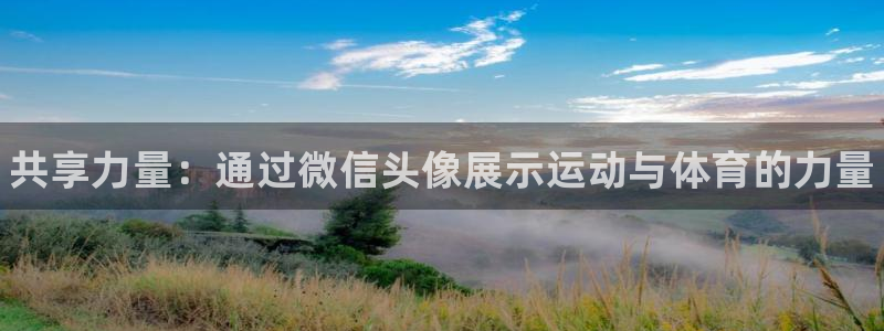 vsport体育官方正版app官方：共享力量：通过微