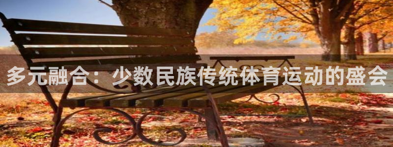 vsport体育官网下载招商电话是多少：多元融合：少
