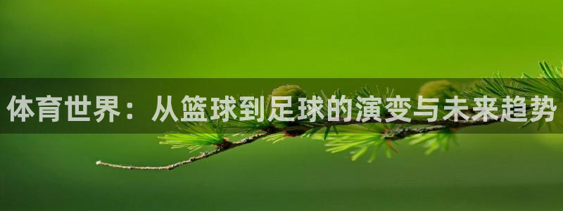 vsport体育官方正版app官网：体育世界：从篮球到足球的