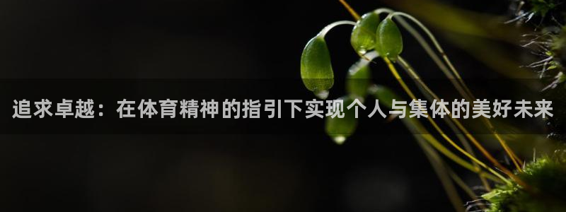 vsport体育官方正版app集团官网首页网址：追求卓越：在