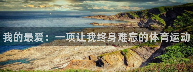 vsport体育官网下载平台：我的最爱：一项让我终身难忘的体