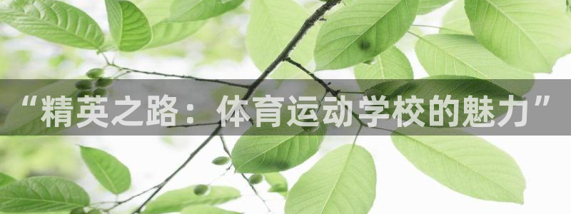 vsport体育官方正版app娱乐下载：“精英之路：体育运动