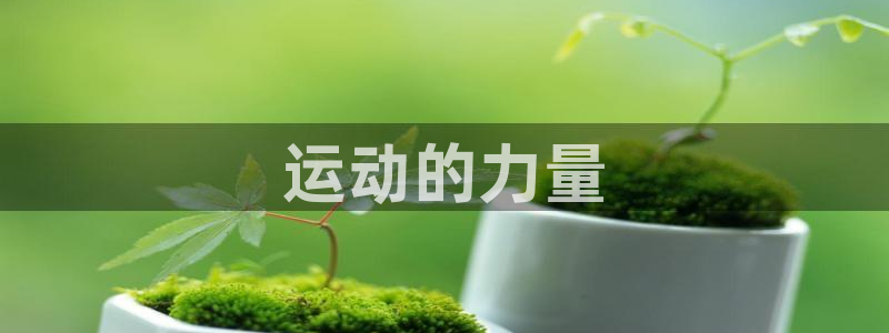 vsport体育官方正版app集团：运动的力量