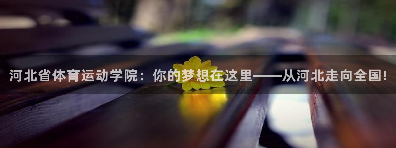 vsport体育官方正版app官网：河北省体育运动学院：你的