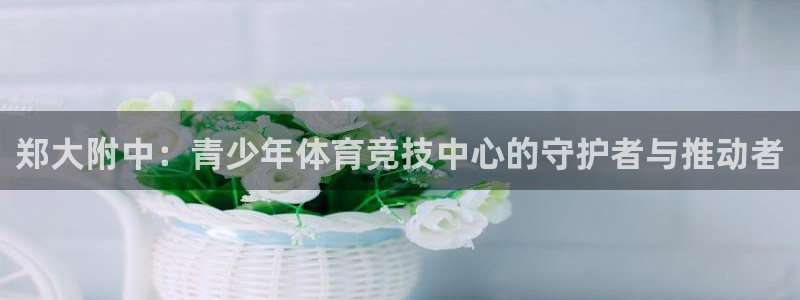 vsport体育官方正版app娱乐是那个系列的台子：