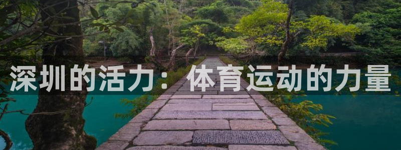 vsport体育官网下载招商电话地址：深圳的活力：体