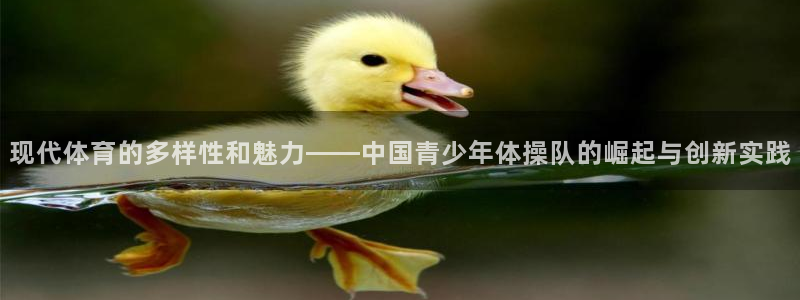 vsport体育官方正版app集团简介：现代体育的多样性和魅