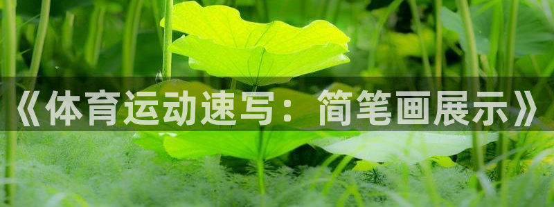 vsport体育官方正版app娱乐