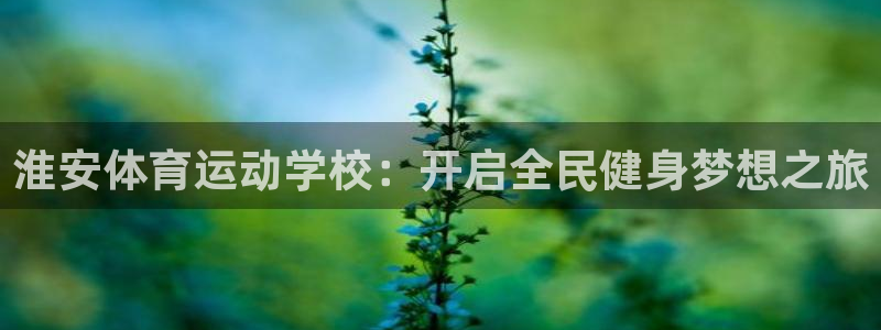 vsport体育官方正版app娱乐网站：淮安体育运动