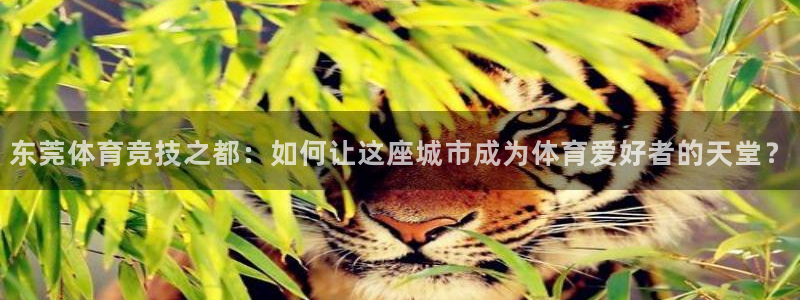 vsport体育官方正版app科技：东莞体育竞技之都