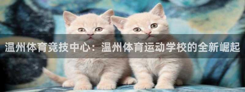 vsport体育官网下载招商：温州体育竞技中心：温州体育运动