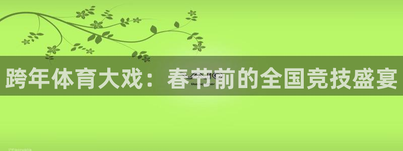 vsport体育官网下载平台注册要钱吗：跨年体育大戏