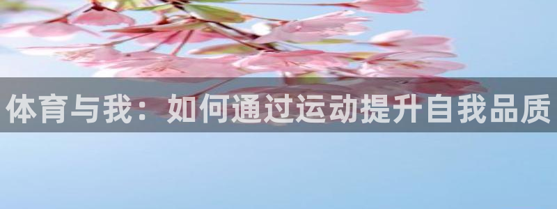 海南vsport体育官网下载