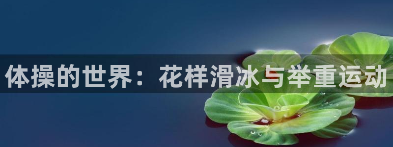 vsport体育官方正版app开户：体操的世界：花样