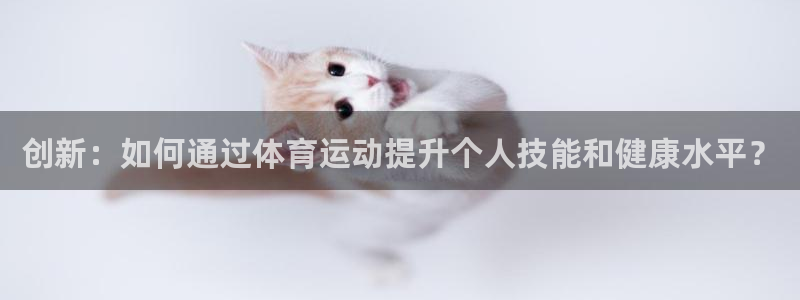 vsport体育官网下载平台是正规平台吗