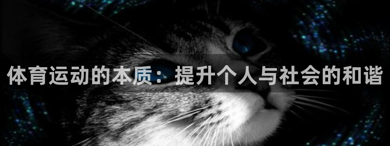 vsport体育官网下载平台假的吗是真的吗吗：体育运动的本质