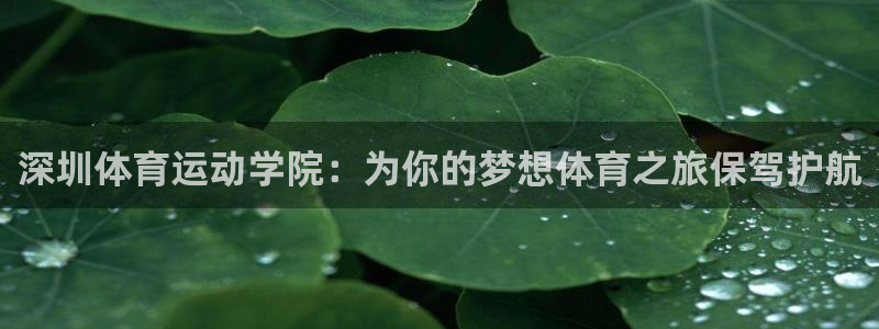 vsport体育官方正版app官网