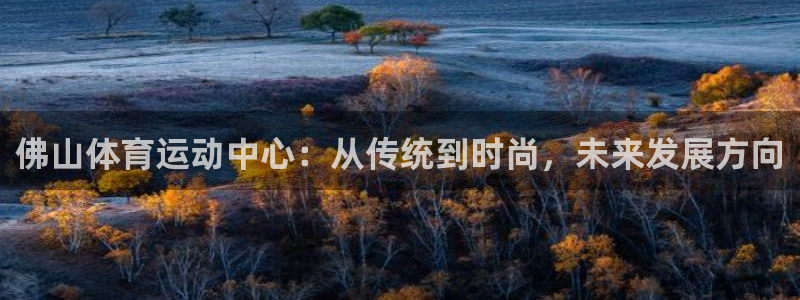 vsport体育官方正版app娱乐网站