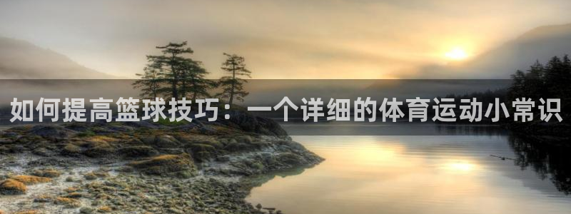 vsport体育官方正版app科技：如何提高篮球技巧