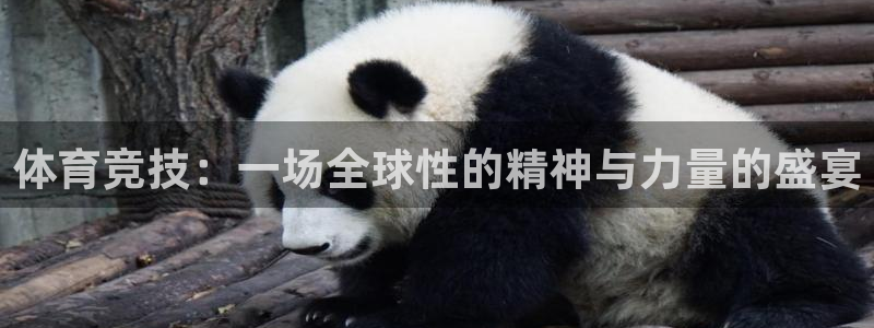 vsport体育官网下载平台是正规平台吗